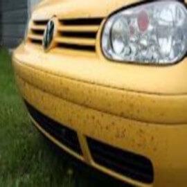 DEMOUSTIC est un produit adapté au pré élimination des moustiques, moucherons et autres insectes fixés sur les calandres et pare-brise des véhicules automobiles