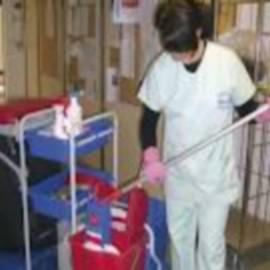 Agit radicalement et instantanément en détruisant toutes les odeurs désagréables tout en désinfectant parfumé à la fraise