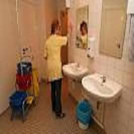 Désinfectant pour toilettes, murs et sols